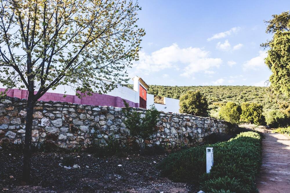 Photo of Outdoor in Estepa