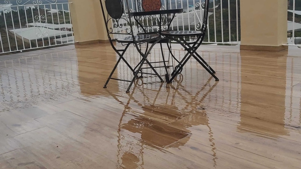 Photo of Outdoor in Callosa d' En Sarria