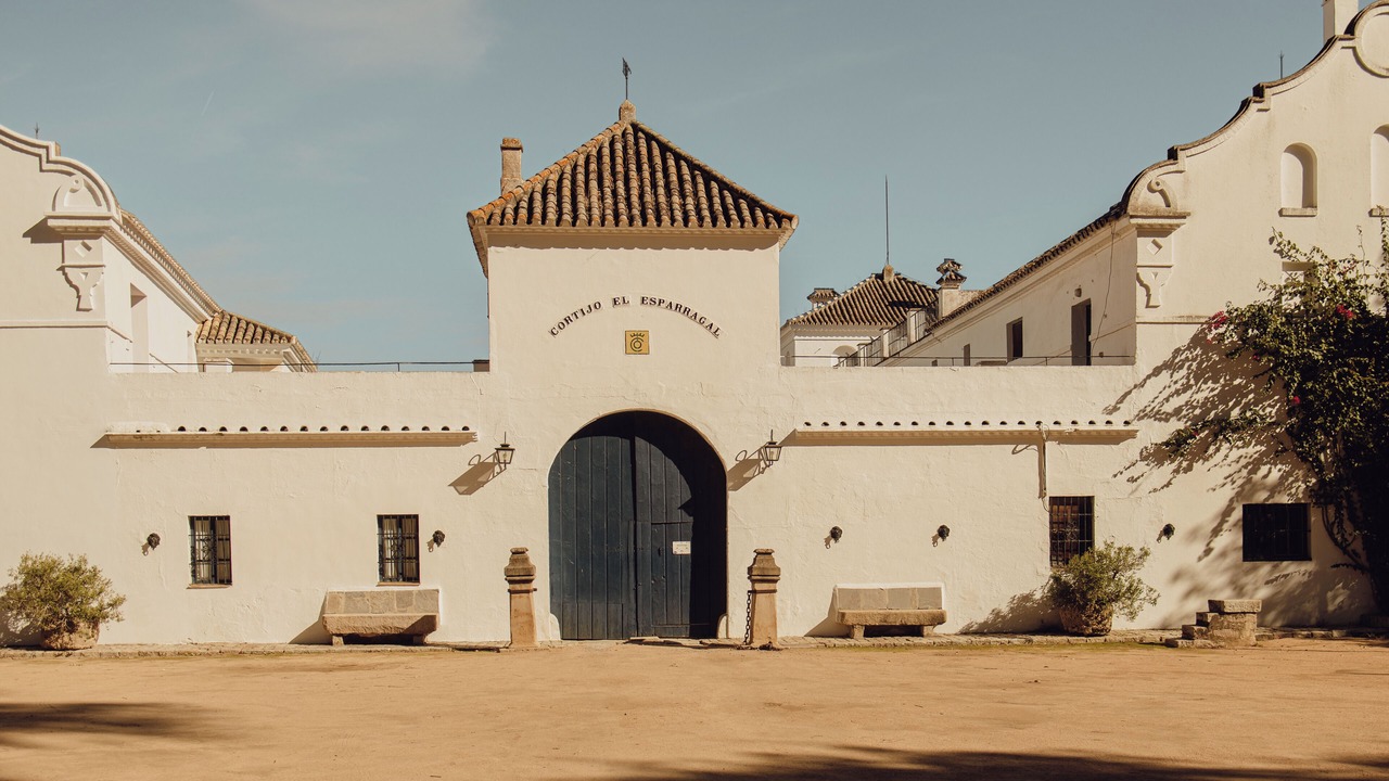 Photo of Outdoor in Gerena