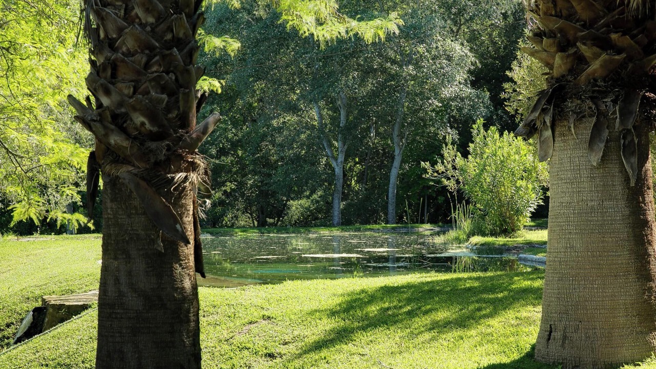 Photo of Outdoor in Arcos de la Frontera