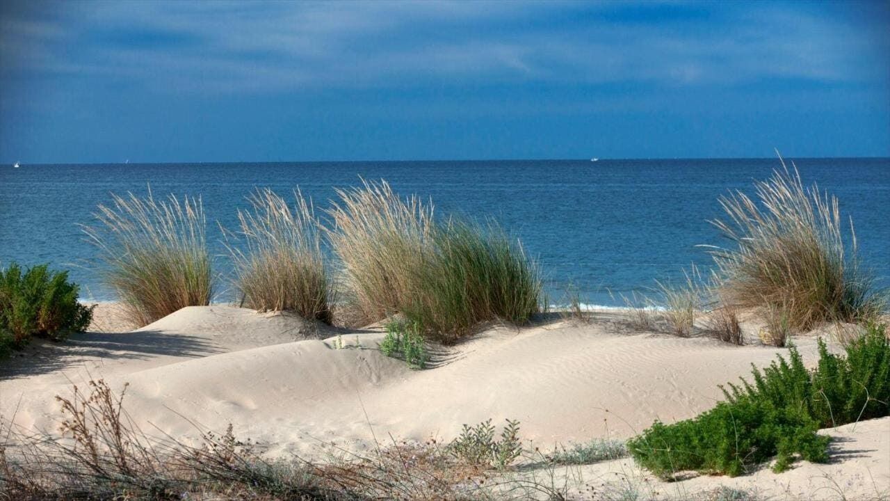 Photo of Others in Punta Umbria