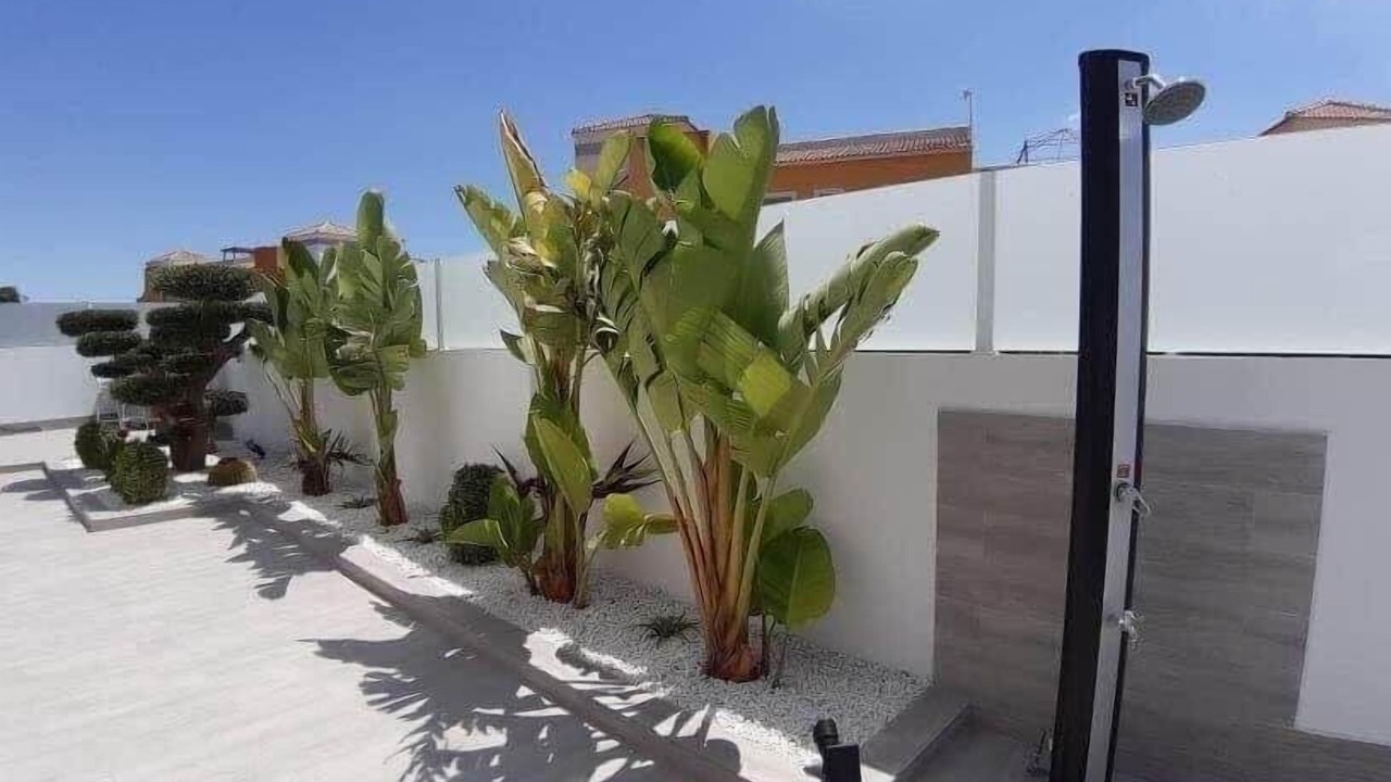 Photo of Outdoor in Los Montesinos