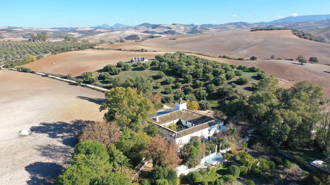 Photo of Outdoor in Montellano