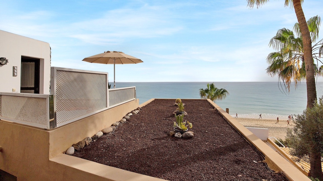 Photo of Outdoor in Bahia Calma