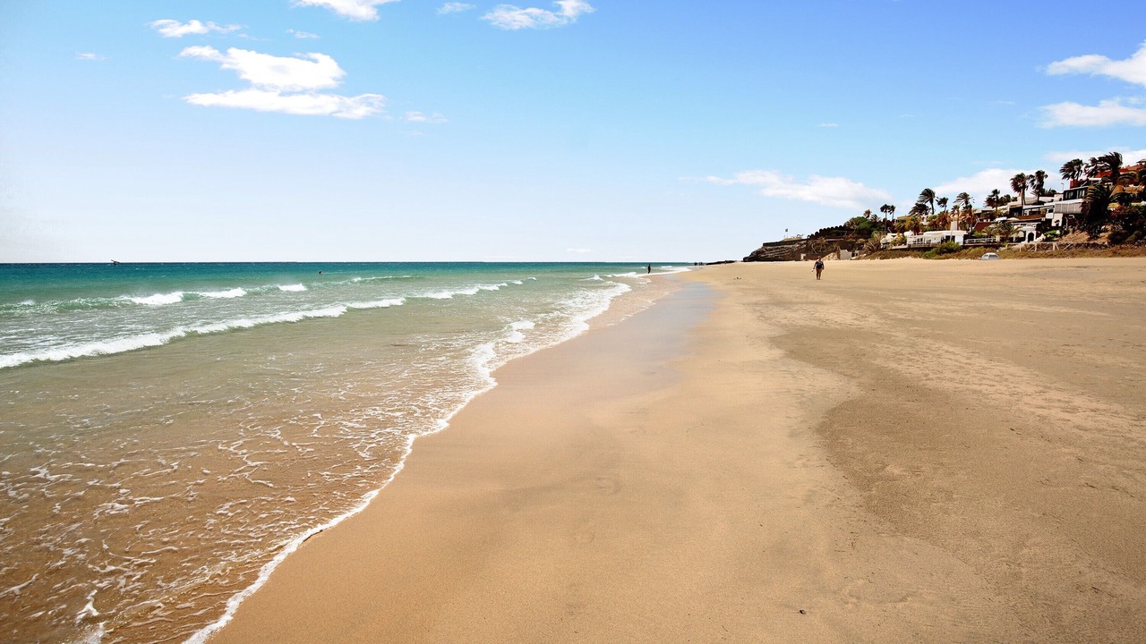 Photo of Others in Bahia Calma