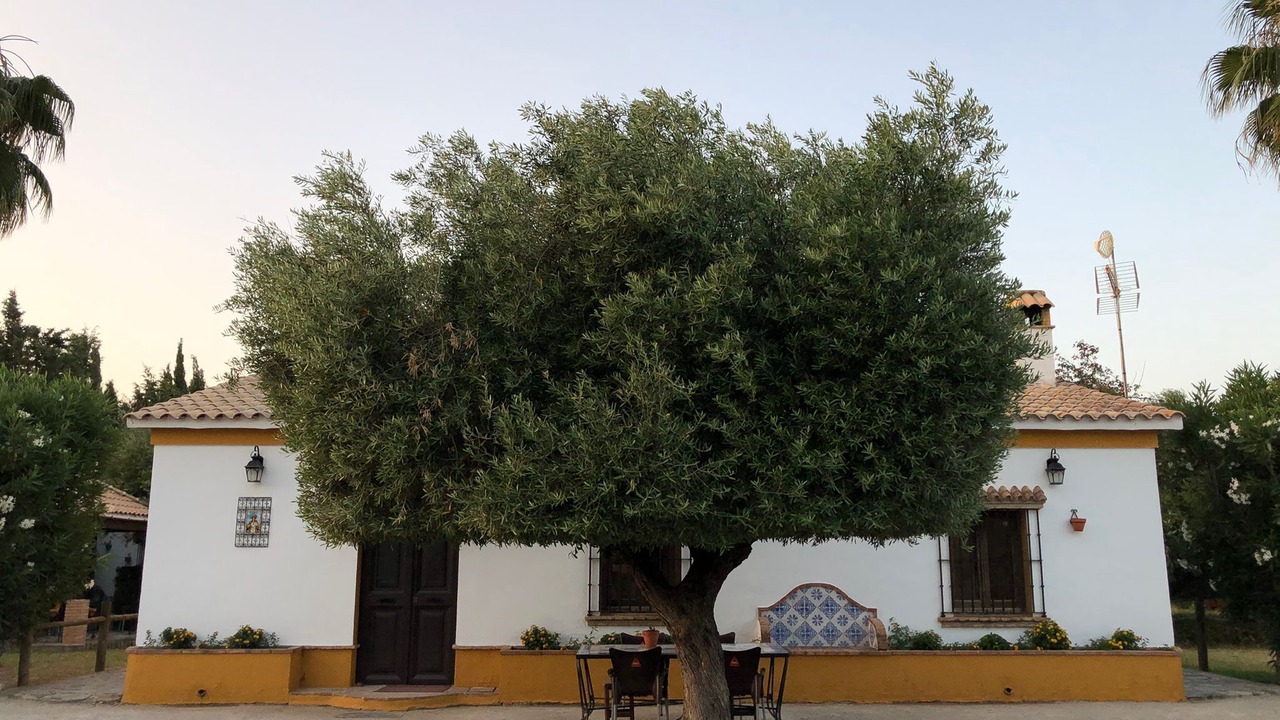 Photo of Outdoor in Villamartin