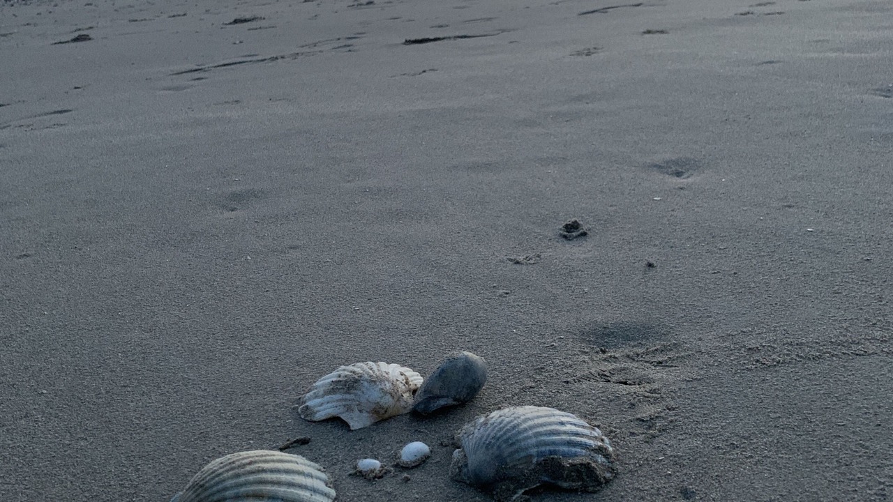 Photo of Others in Playa de Isla Canela