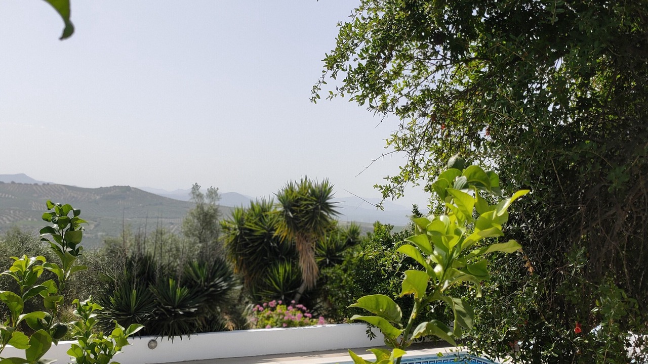 Photo of Outdoor in Montilla
