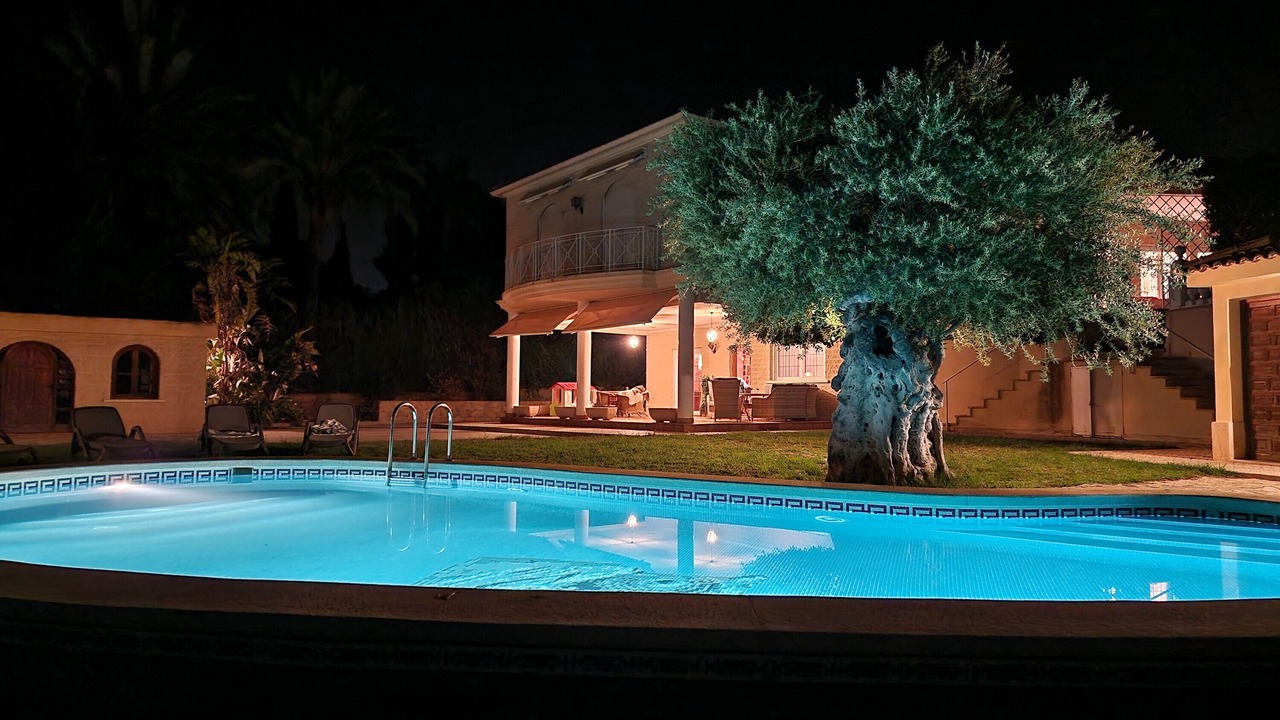 Photo of Outdoor in Elche