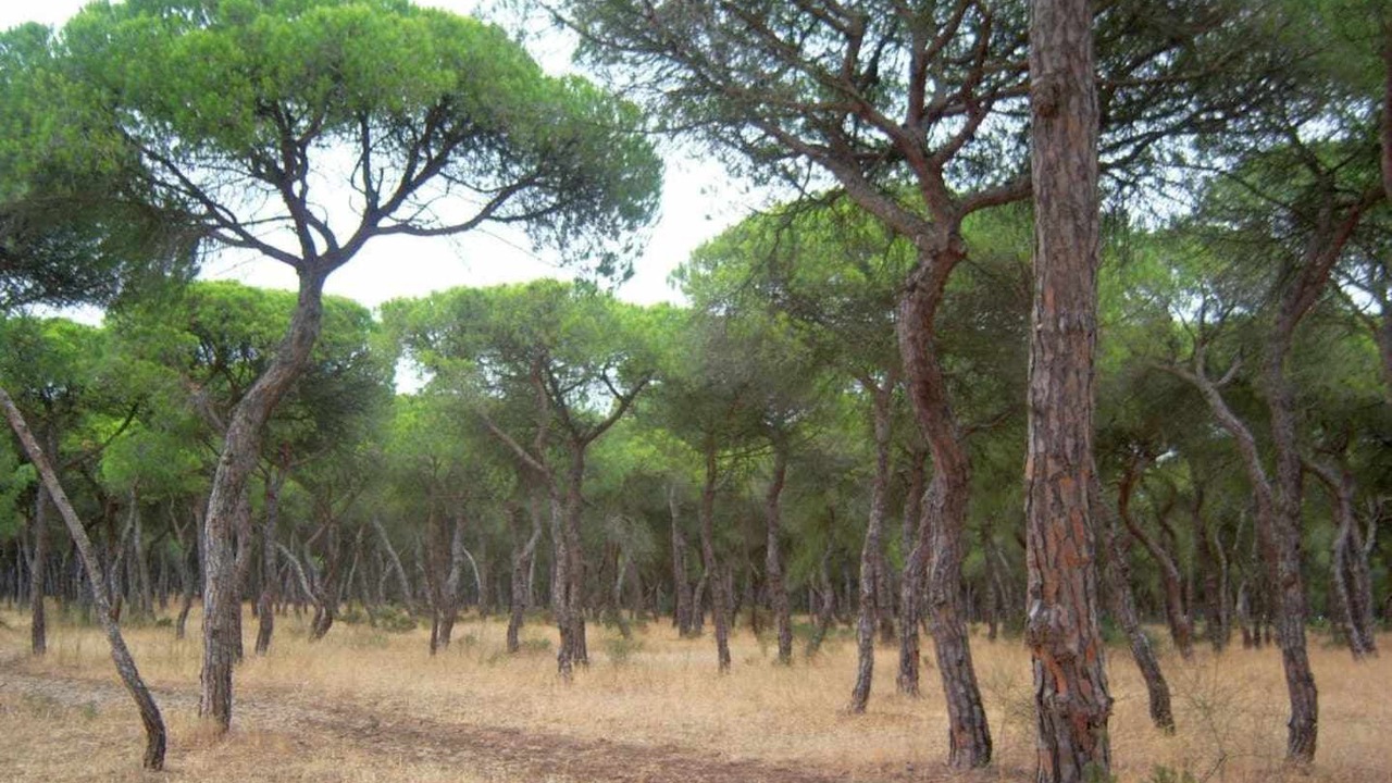 Photo of Outdoor in Punta Umbria