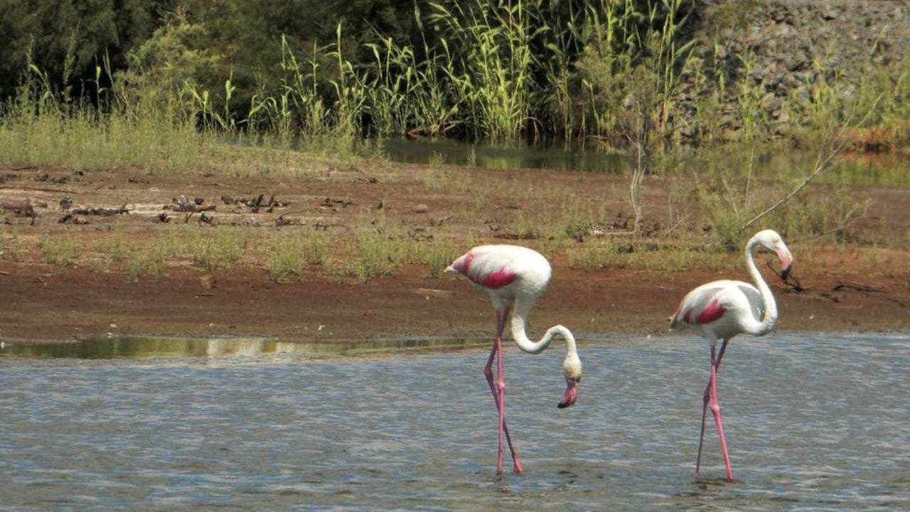 Photo of Outdoor in Punta Umbria