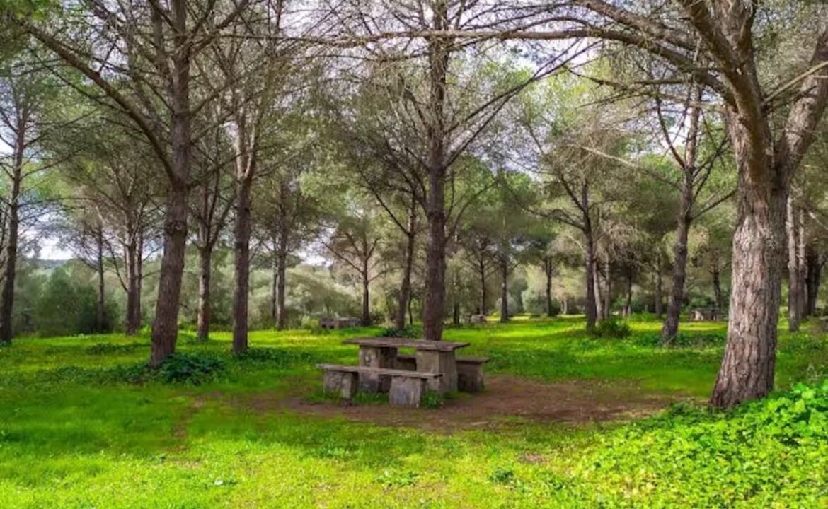 Photo of Outdoor in Jerez de la Frontera