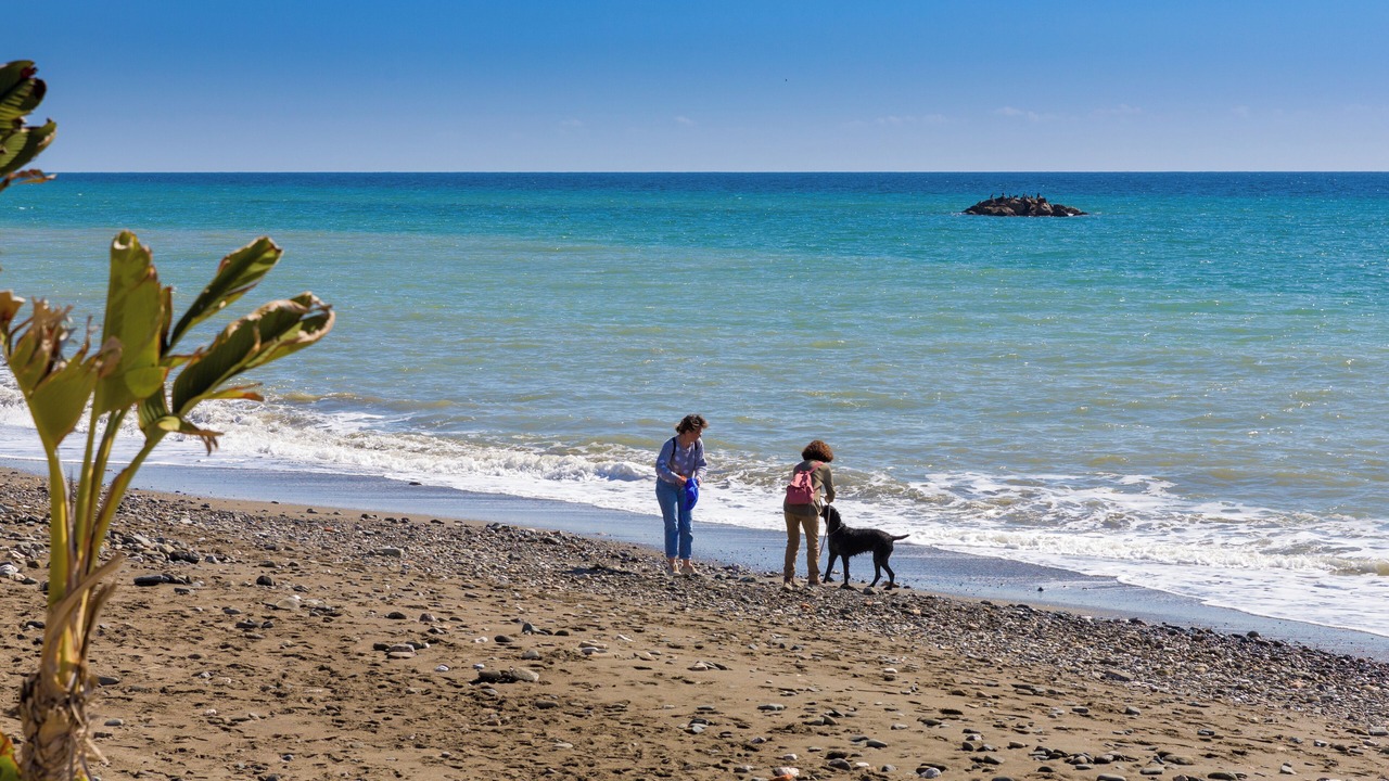 Photo of Others in La Cala del Moral