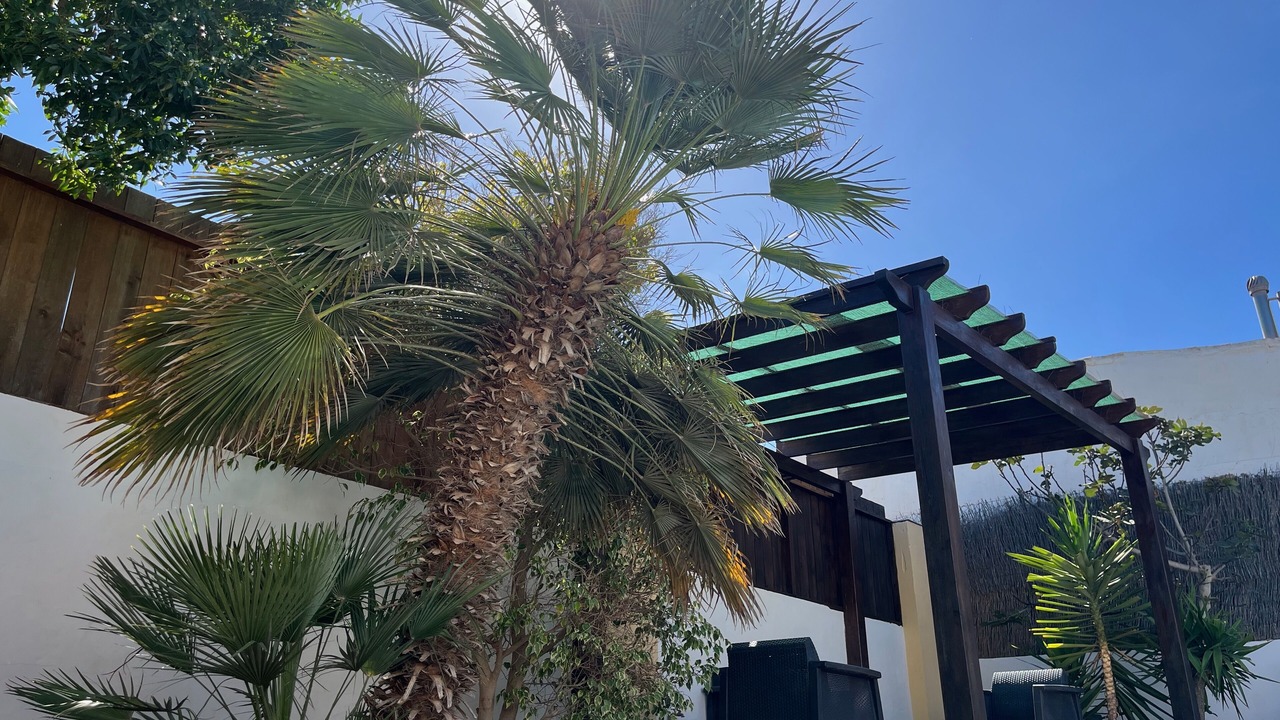 Photo of Outdoor in Antigua