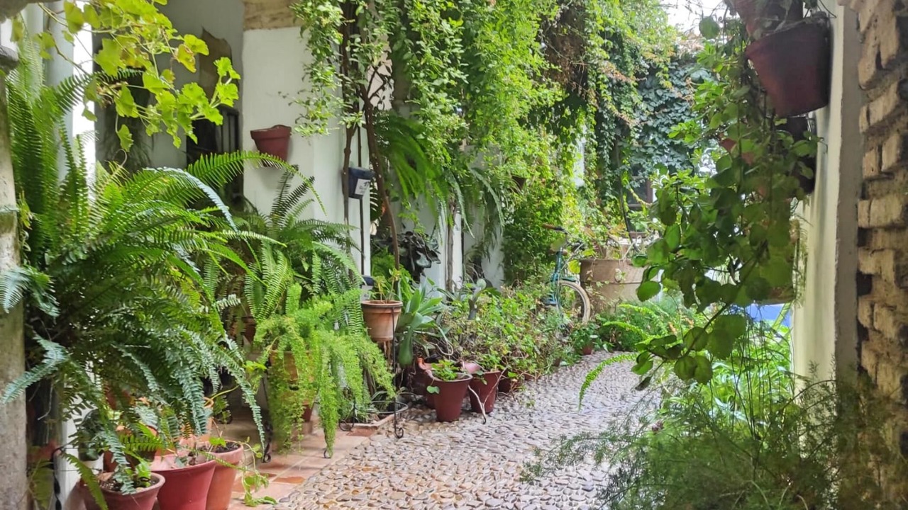 Photo of Outdoor in La Catedral