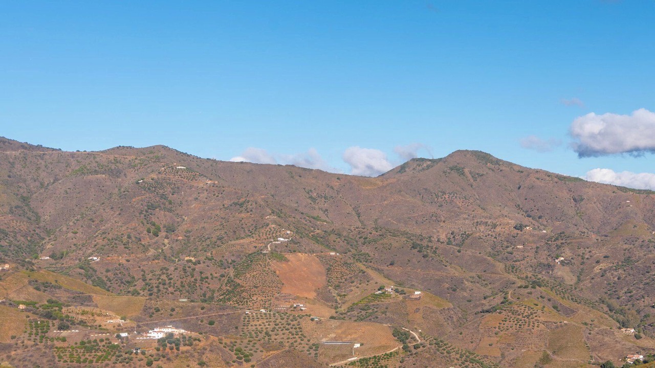 Photo of Others in El Borge