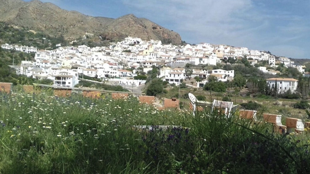 Photo of Others in Bedar