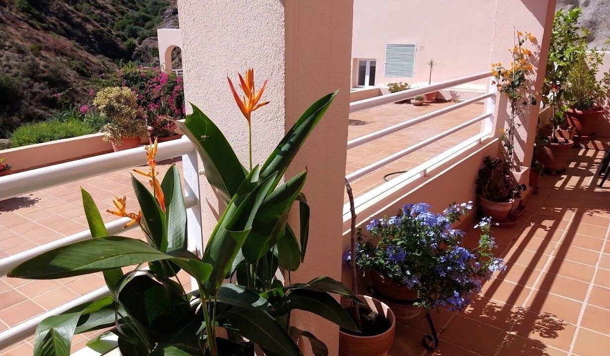 Photo of Outdoor in Ventanicas-El Cantal