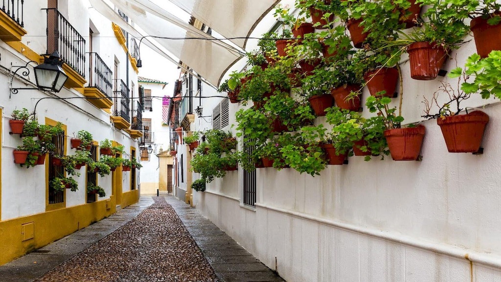 Photo of Others in Distrito Centro