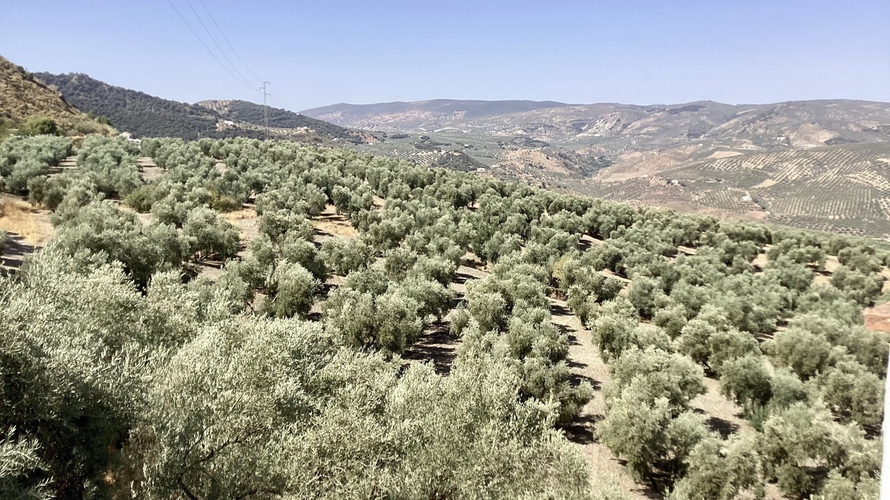 Photo of Others in Iznajar