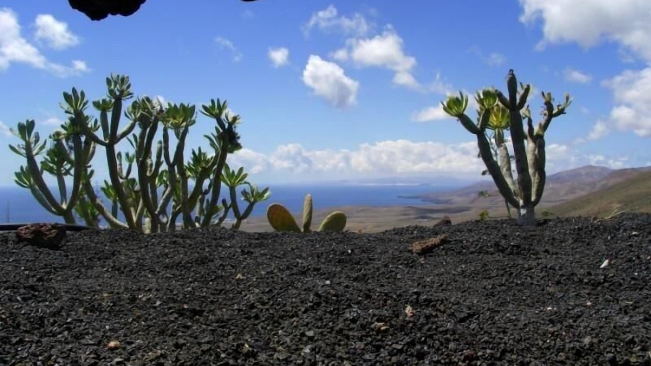 Photo of Outdoor in La Asomada