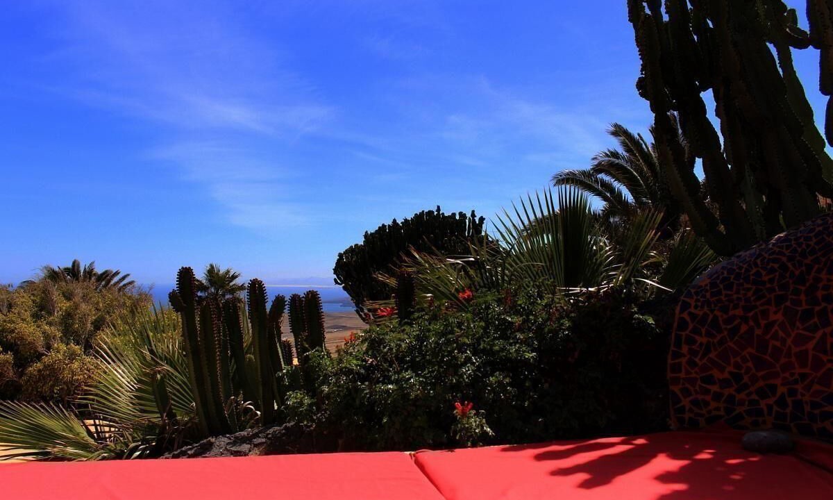 Photo of Outdoor in La Asomada