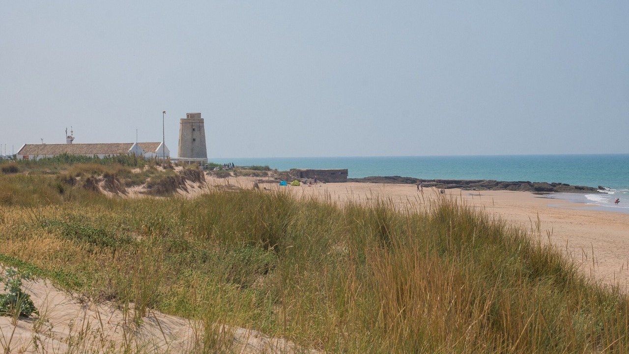 Photo of Others in El Palmar