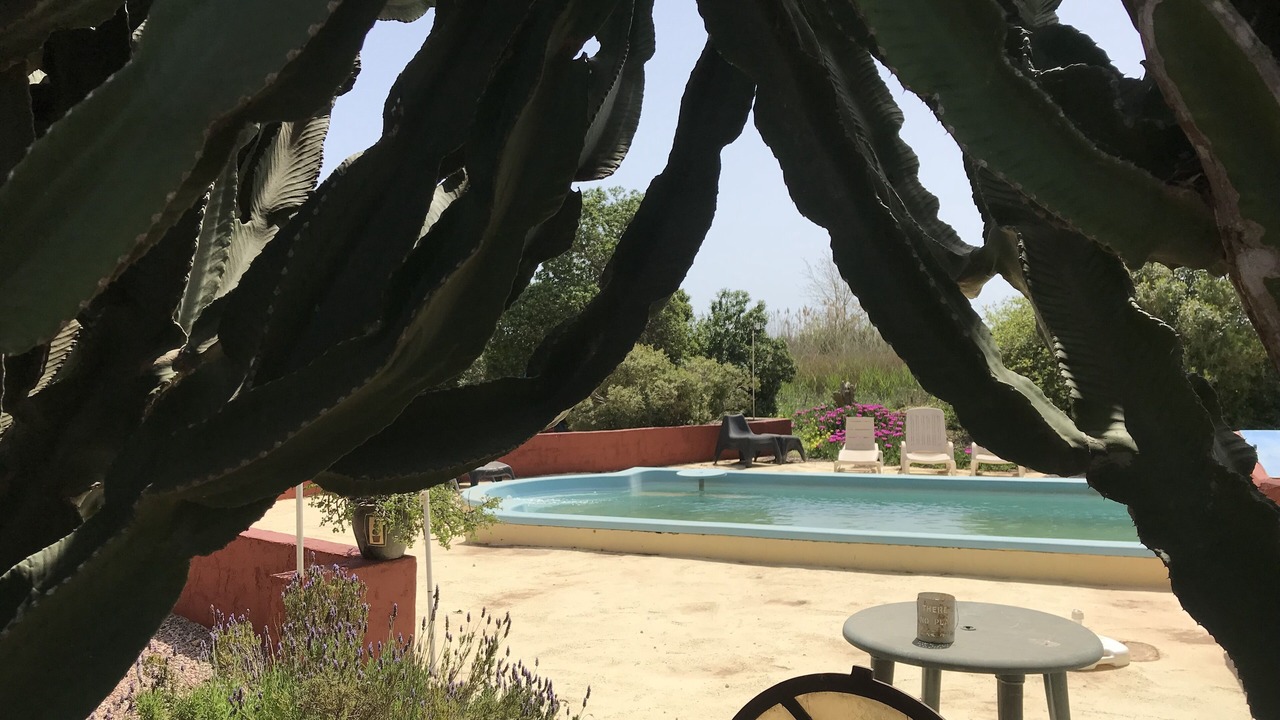 Photo of Outdoor in Daya Nueva
