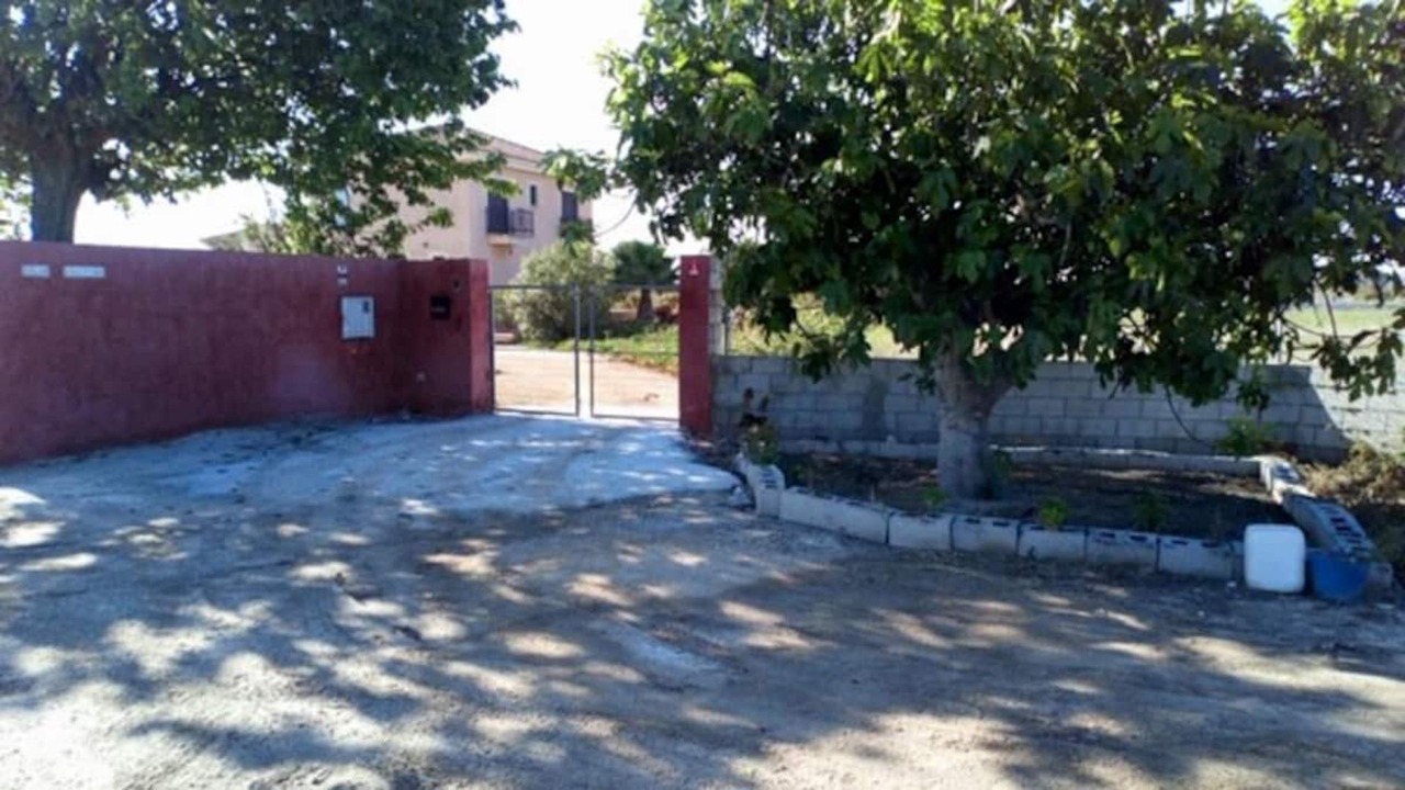Photo of Outdoor in Daya Nueva