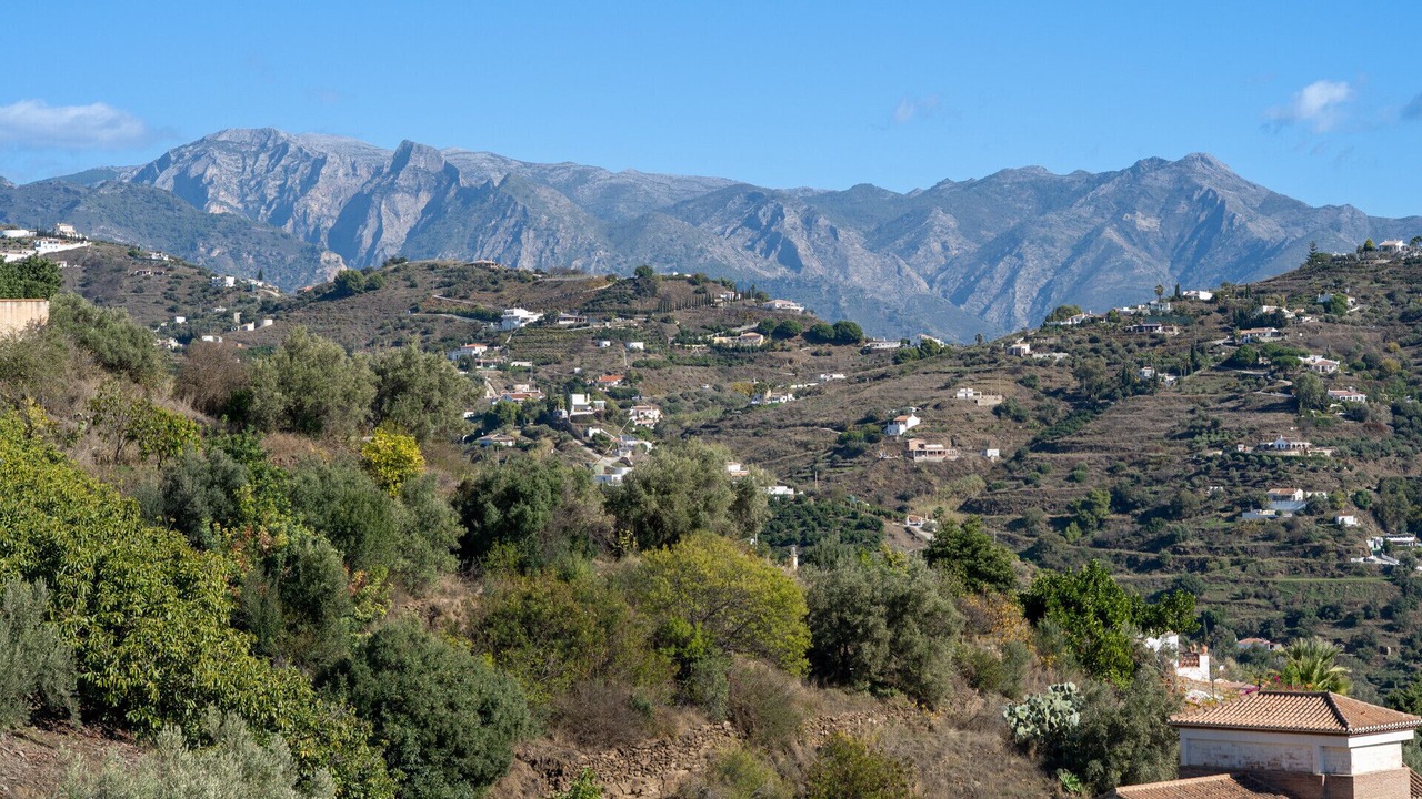 Photo of Others in Torrox