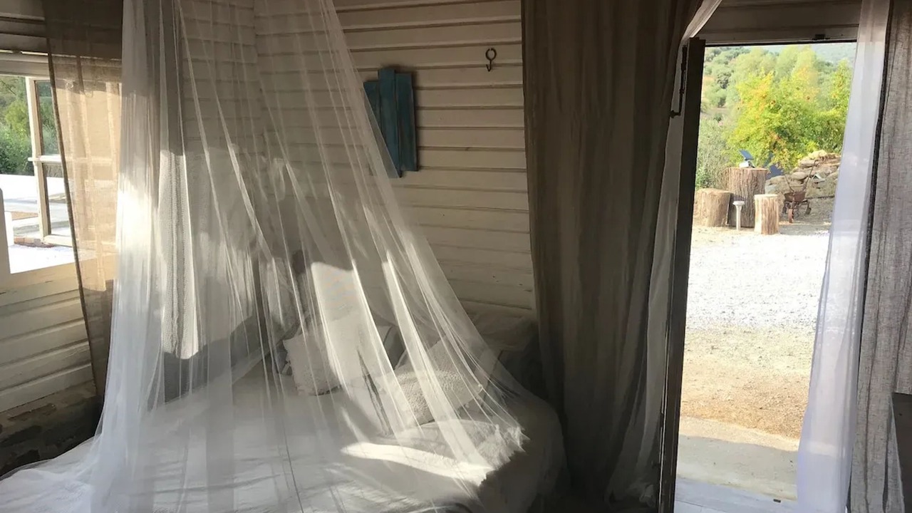 Photo of Bedroom in Algodonales