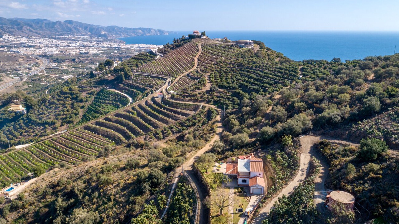 Photo of Outdoor in Torrox