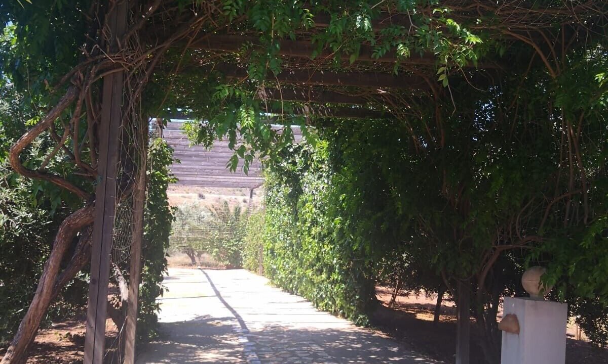 Photo of Outdoor in El Pozo de los Frailes