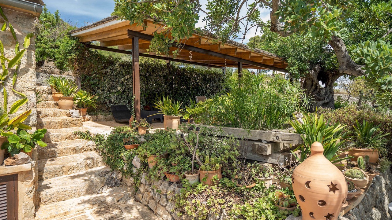 Photo of Outdoor in Selva