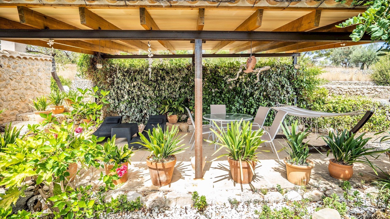 Photo of Outdoor in Selva