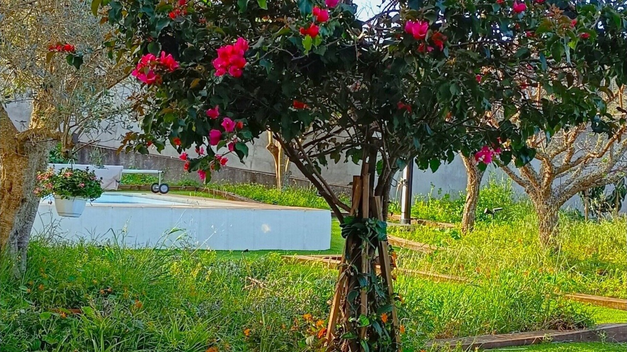 Photo of Outdoor in Valleseco
