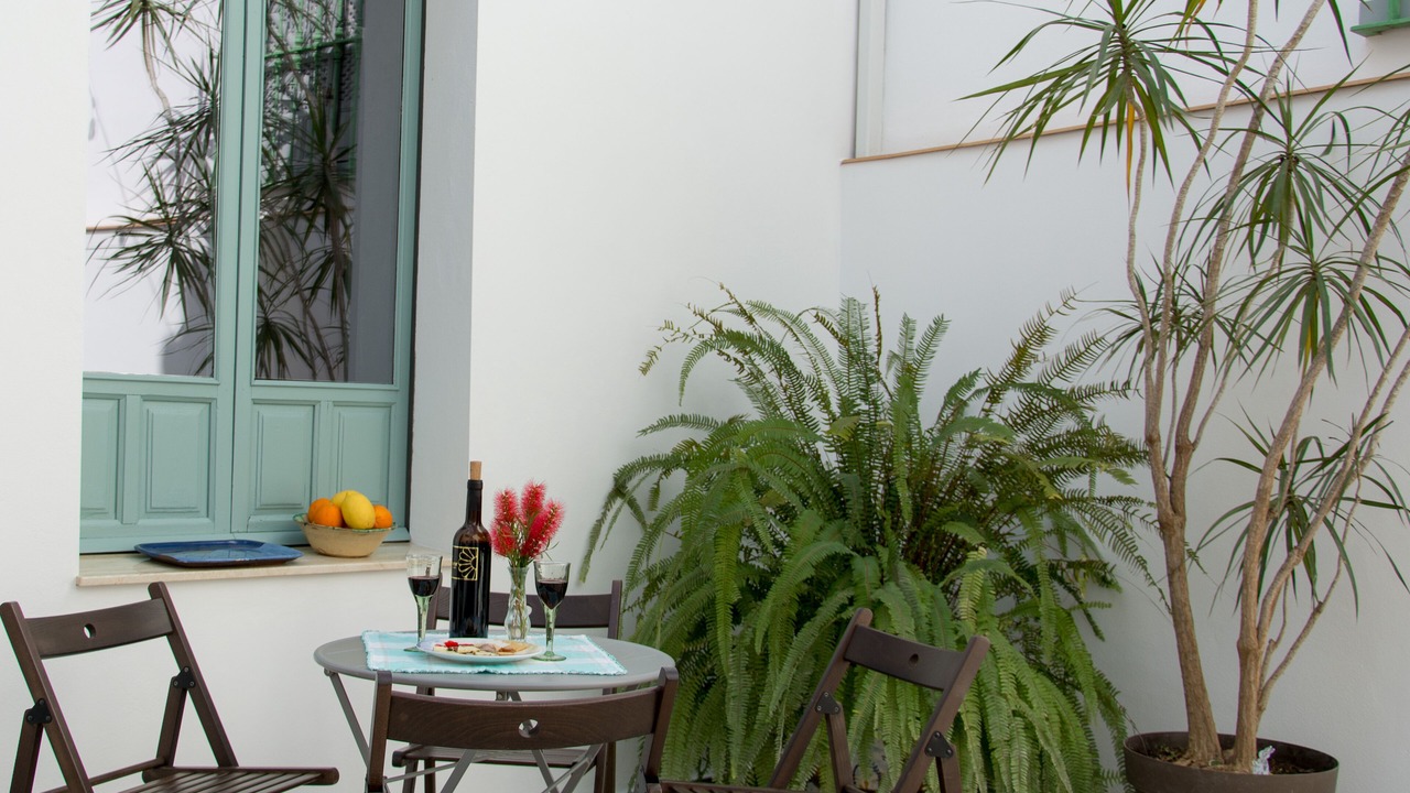 Photo of Outdoor in Penaflor