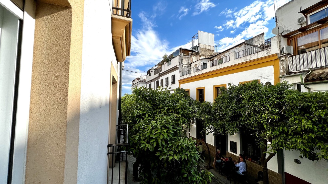 Photo of Outdoor in San Francisco-Ribera