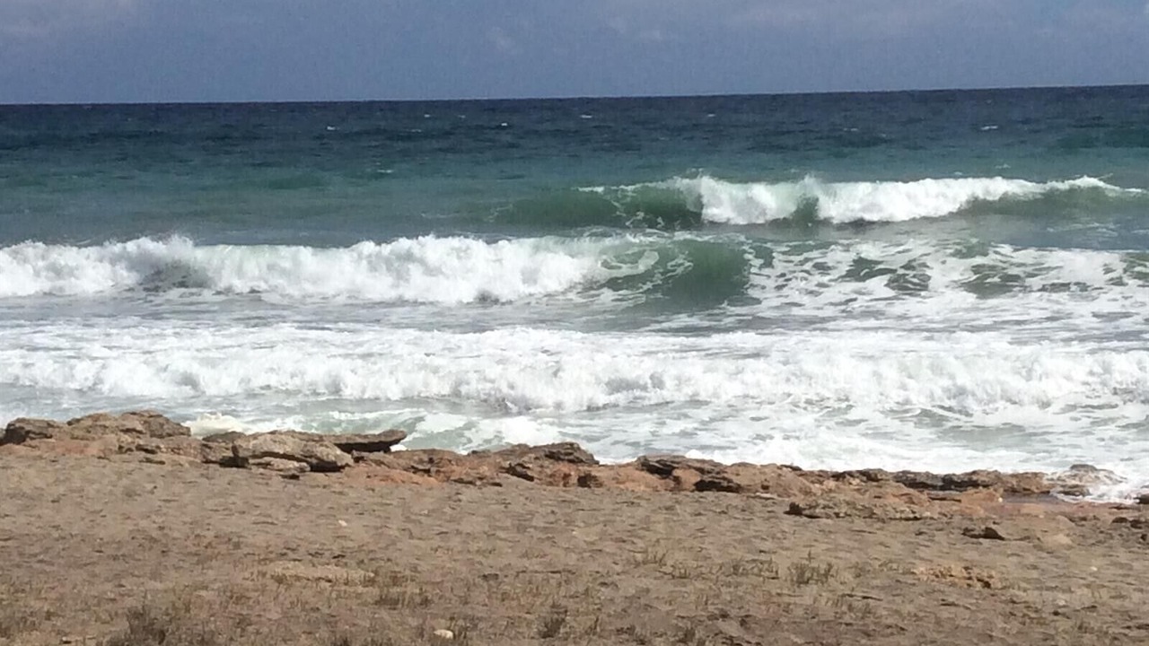 Photo of Others in Puerto Rey