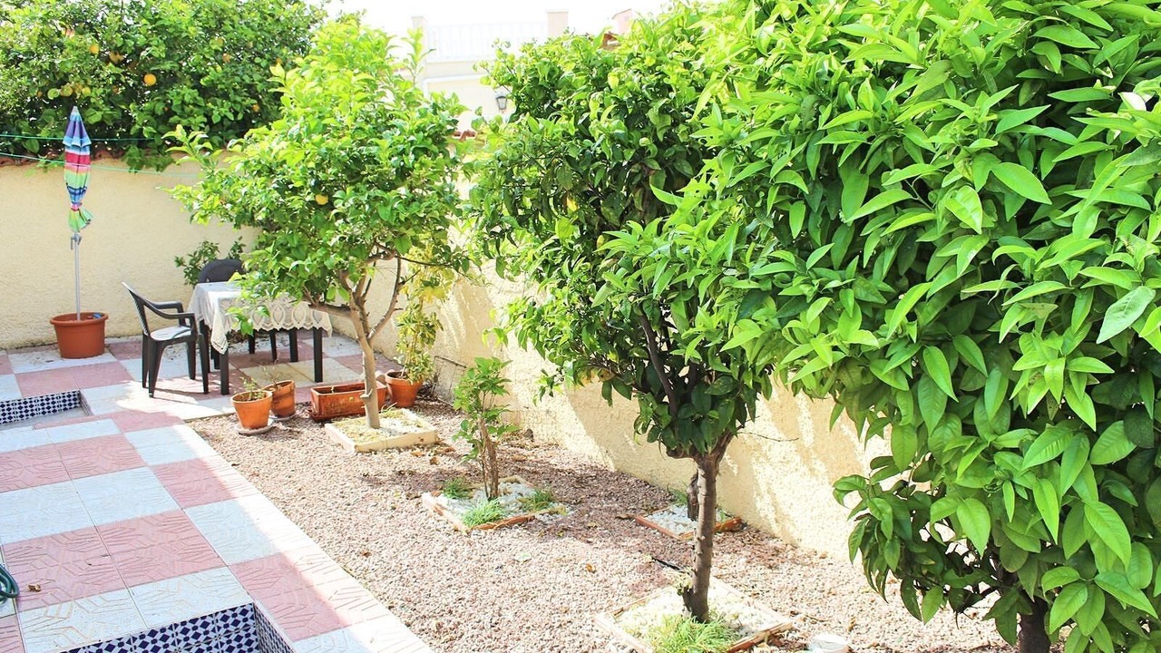 Photo of Outdoor in San Fulgencio