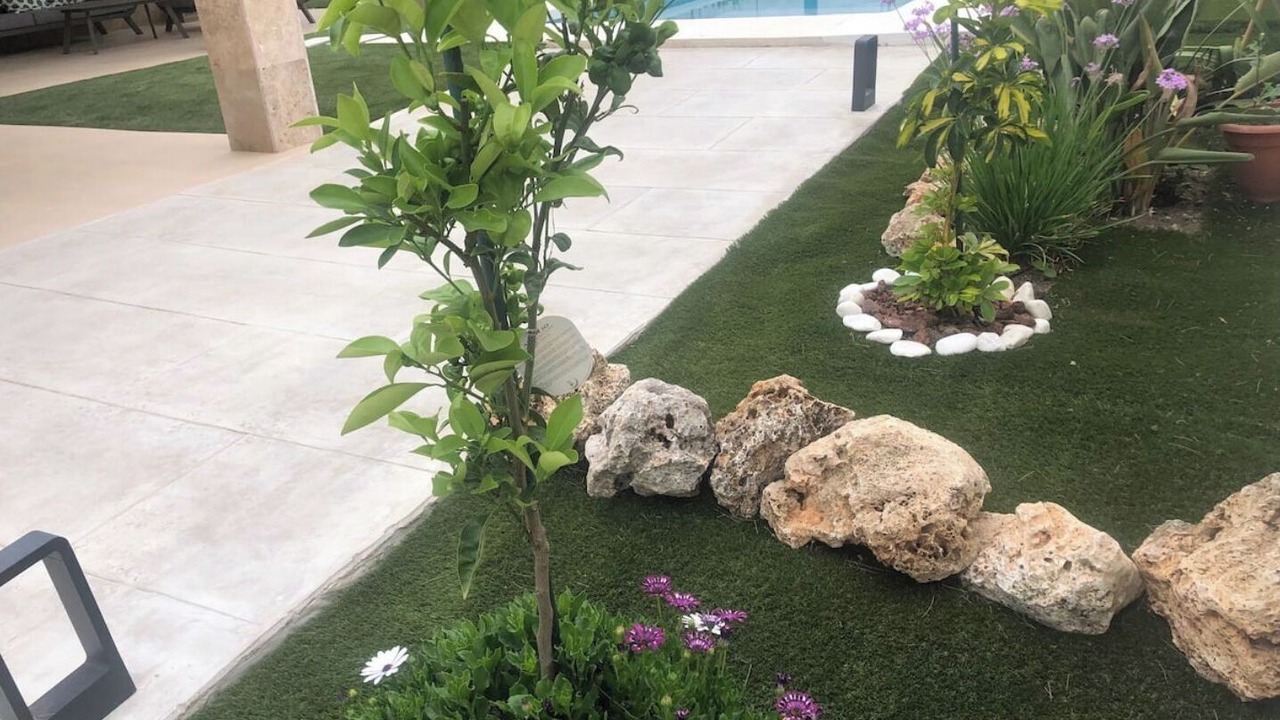 Photo of Outdoor in El Palo