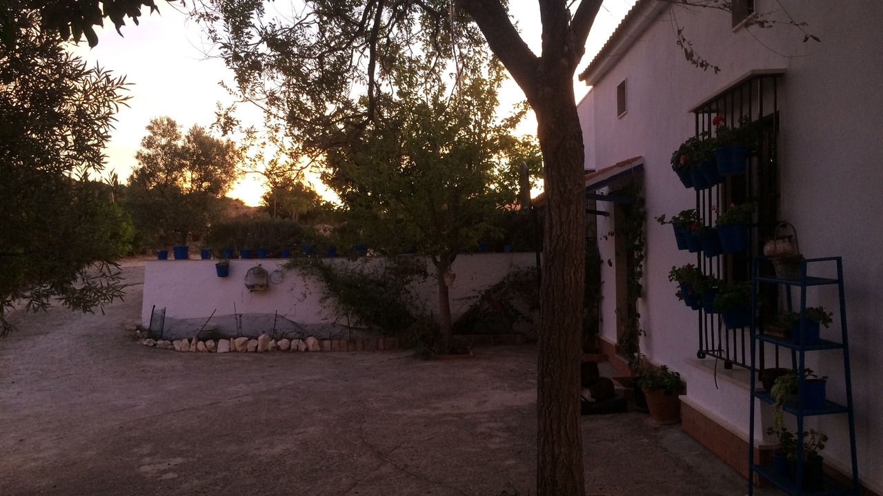 Photo of Outdoor in Estepa