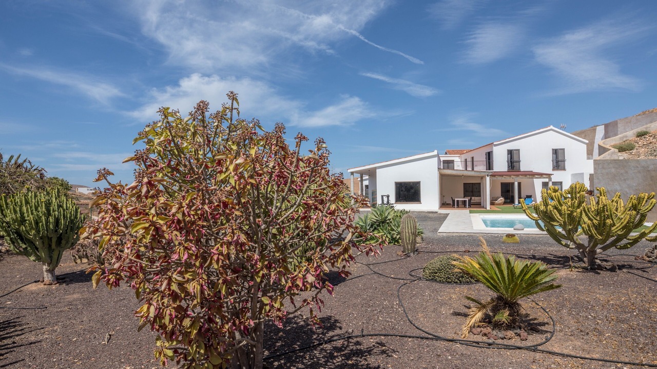 Photo of Outdoor in Pajara
