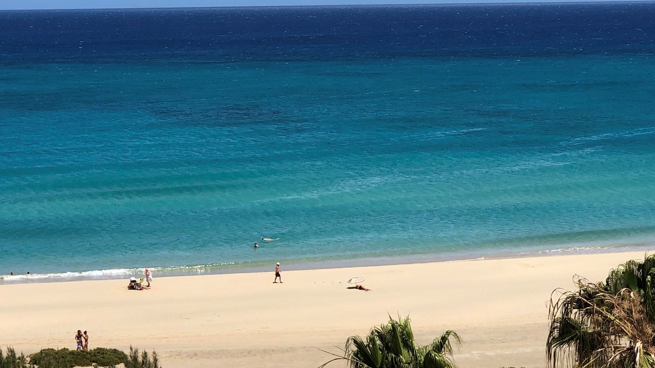 Photo of Others in Bahia Calma