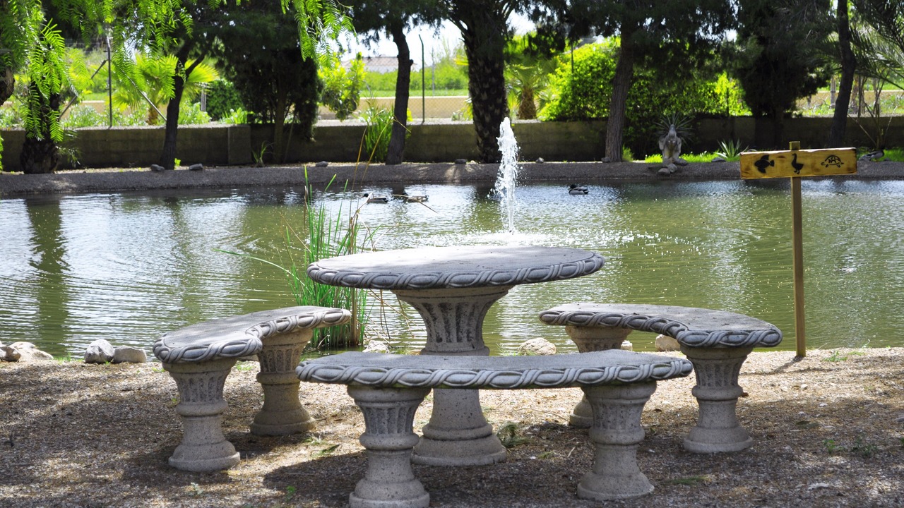 Photo of Outdoor in Catral