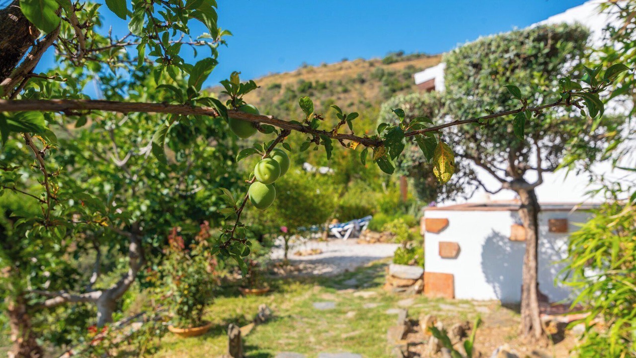 Photo of Outdoor in El Borge
