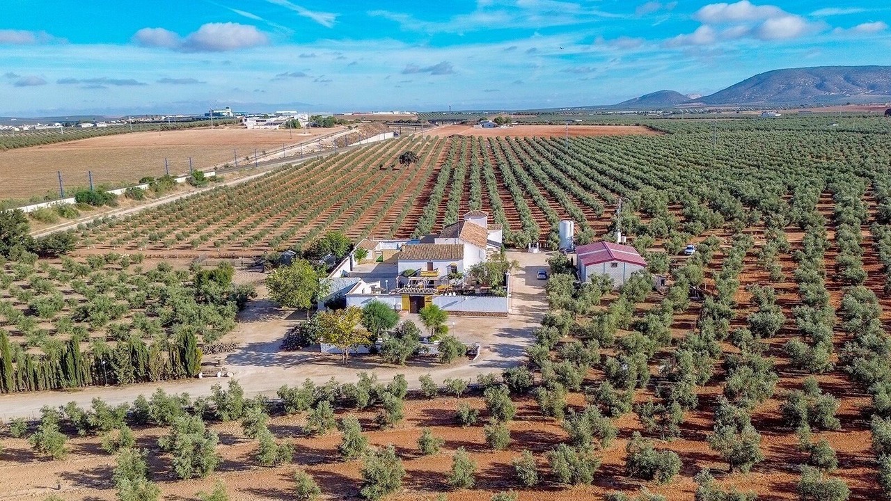 Photo of Outdoor in Fuente de Piedra