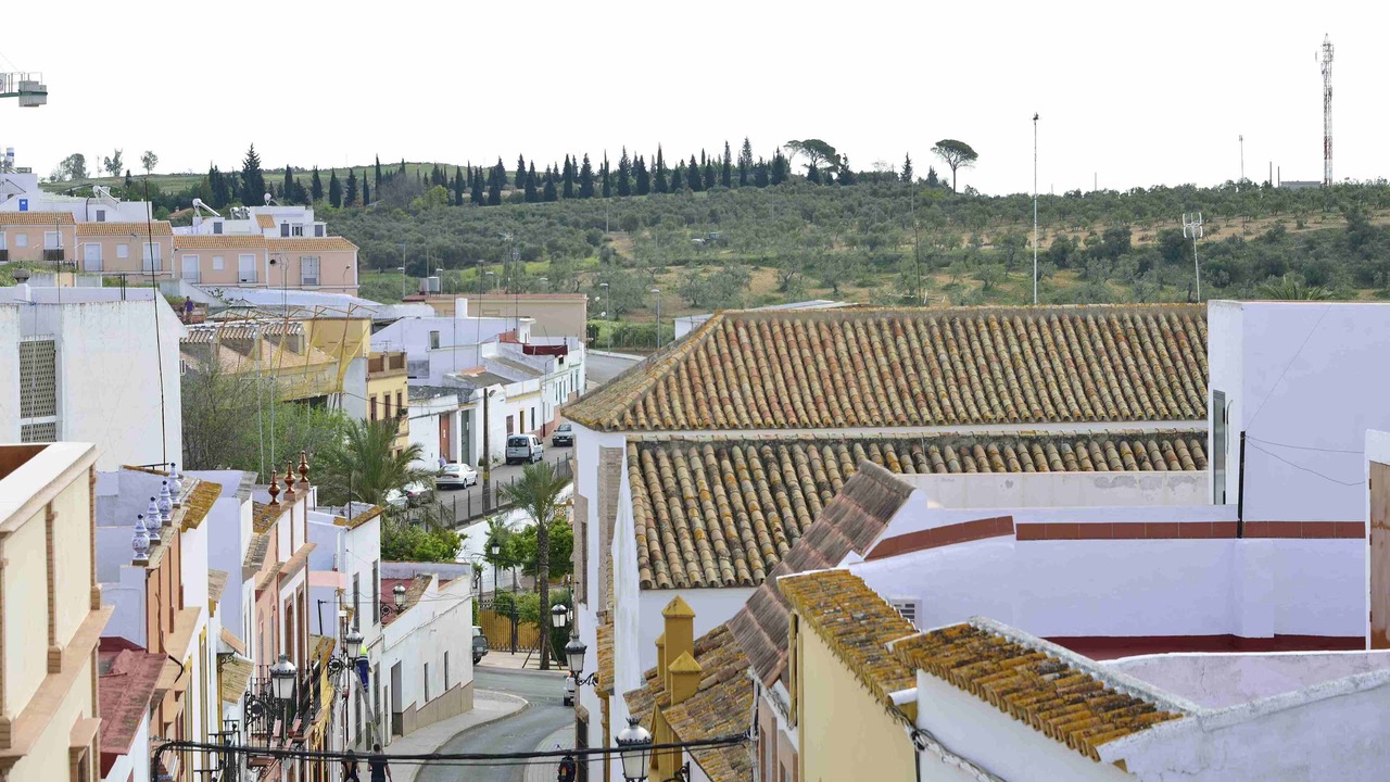 Photo of Outdoor in Mairena del Alcor