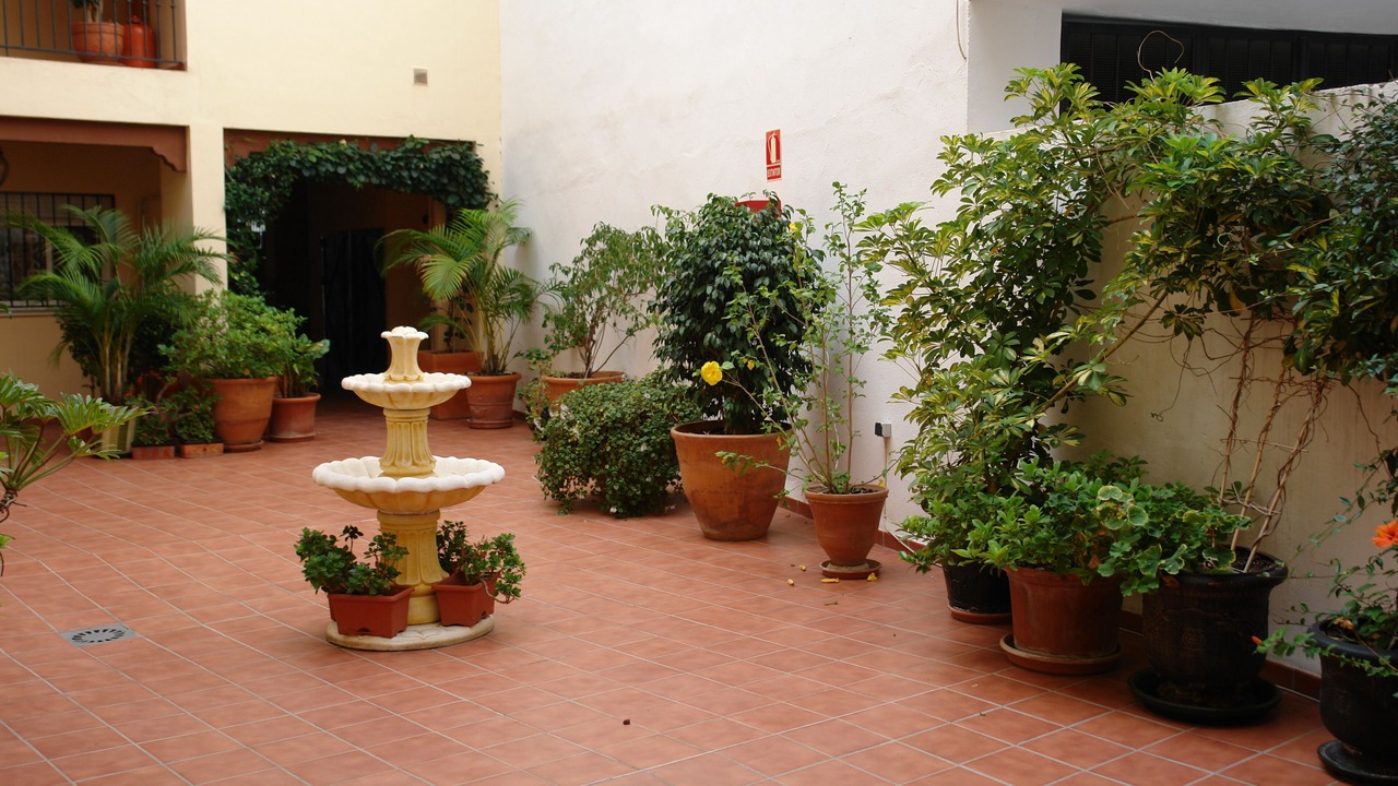 Photo of Outdoor in Nerja City Centre