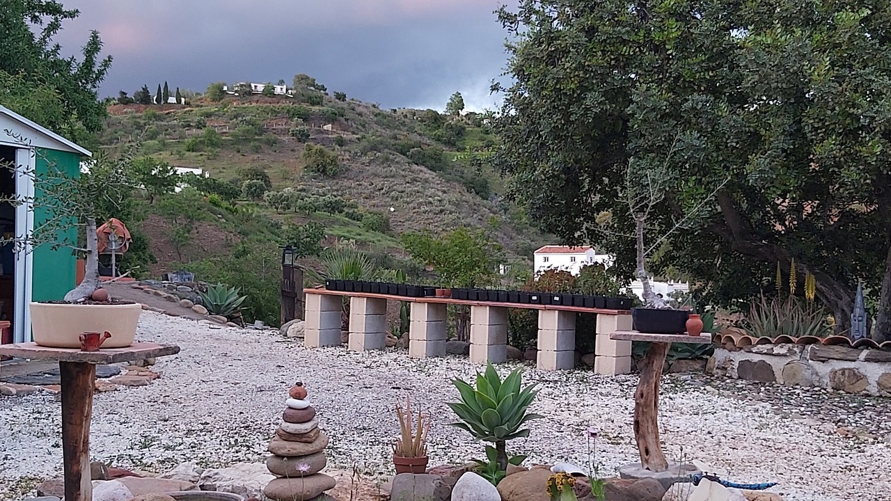 Photo of Outdoor in Almogia